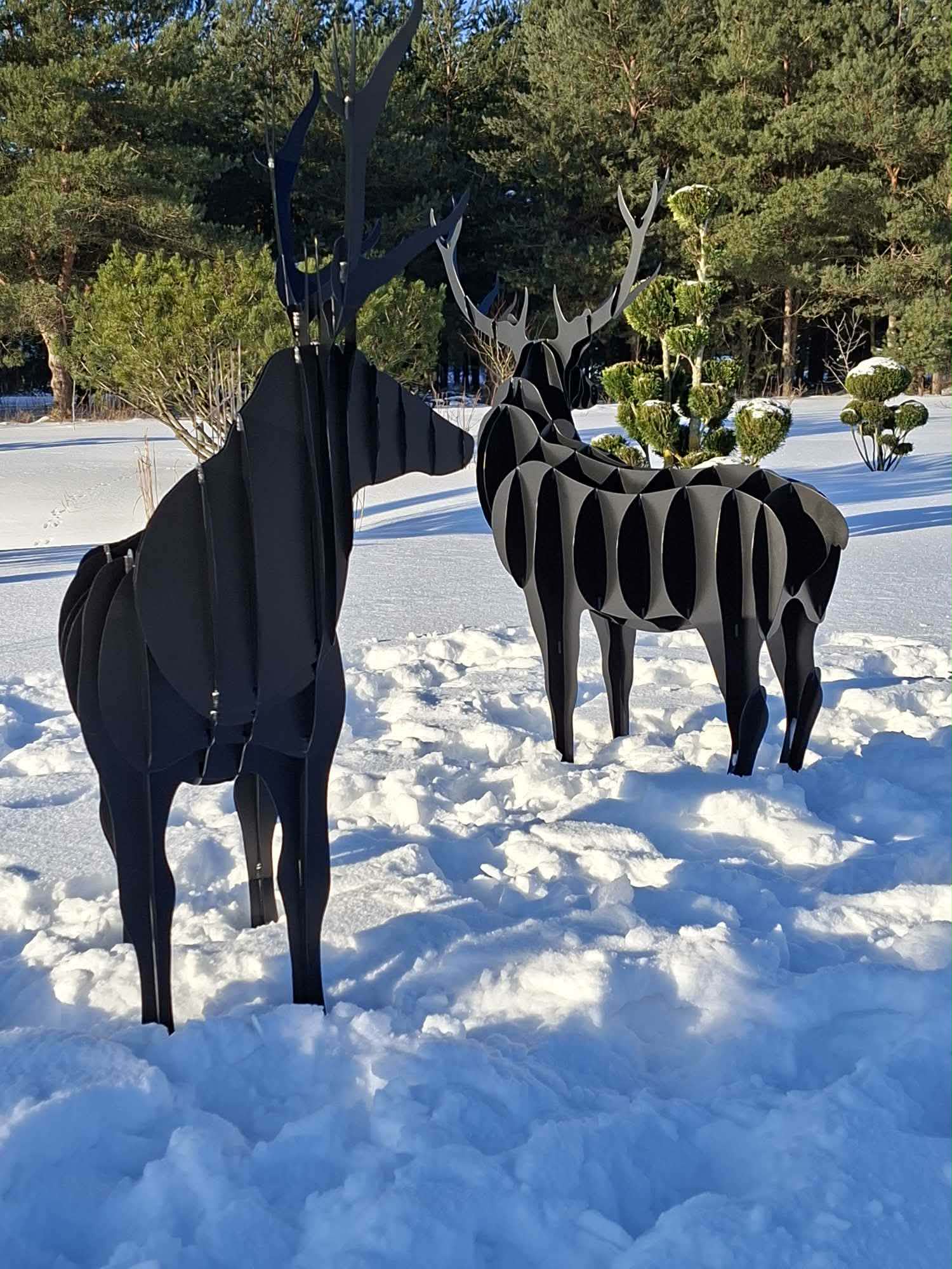 Dekoratyvinis elnias - Image 2