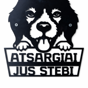 atsargiai-jus-stebi-2