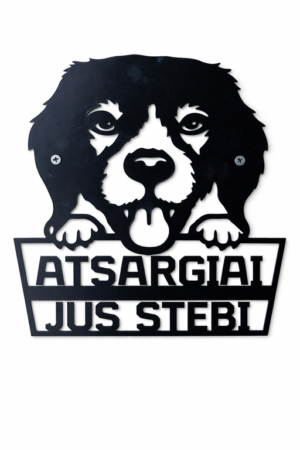 atsargiai-jus-stebi-2