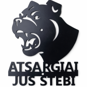 atsargiai-jus-stebi-3