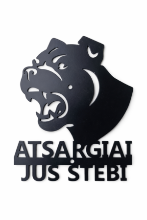 atsargiai-jus-stebi-3